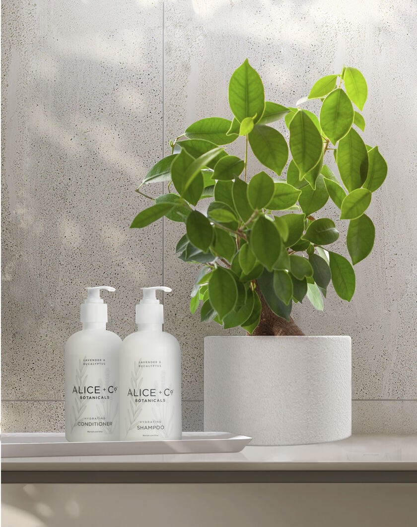 Alice + Co Hair Care Set thumbnail number 1